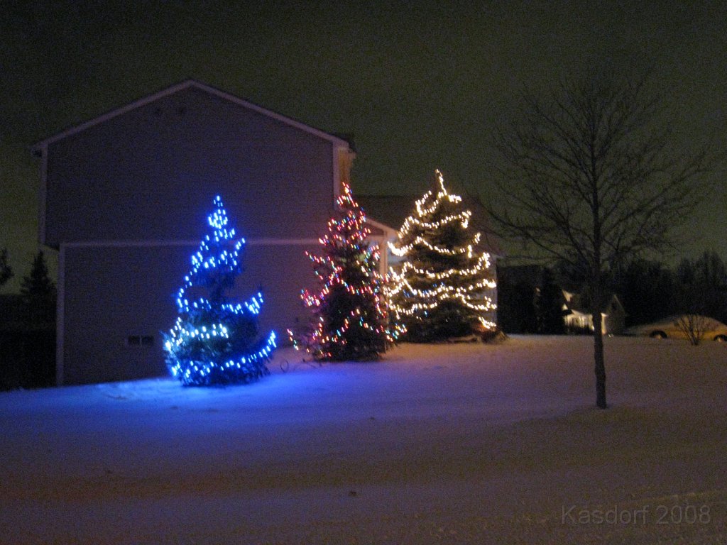 Christmas Lights Hines Drive 2008 098.jpg - The 2008 stringing of the outdoor Christmas lights MUST occur on the worst day between Thanksgiving and Christmas Eve each year. 2008 was no exception!